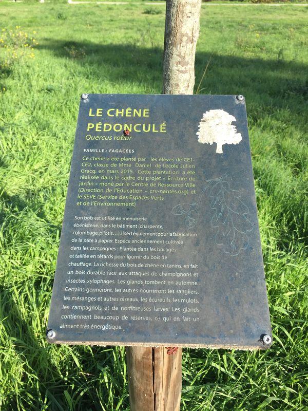 PARC BOTTIERE CHÊNAIE | Label-Ecojardin